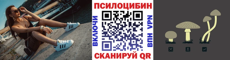 Псилоцибиновые грибы GOLDEN TEACHER  Купить  Пролетарск 